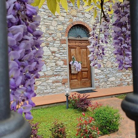 Pietra E Glicine B&B Pieve a Nievole Kültér fotó